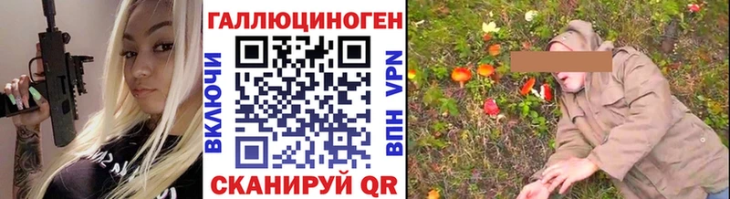закладки Новохопёрск Галлюциногенные грибы Psilocybine cubensis